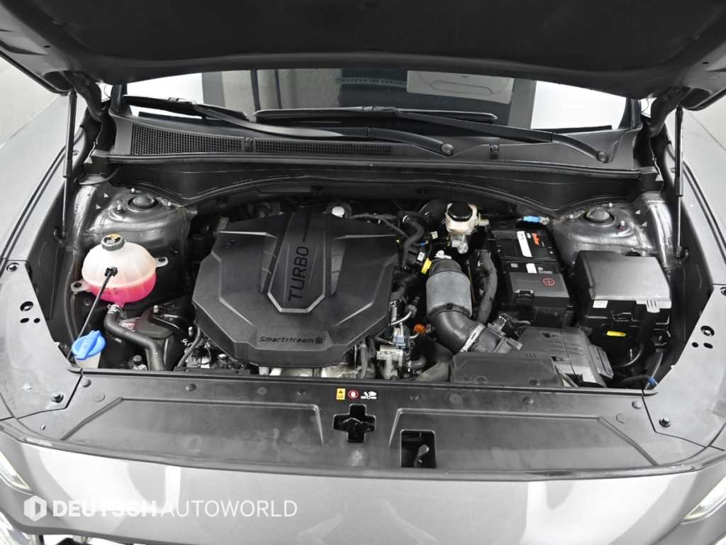 Hyundai Santafe — photo 06