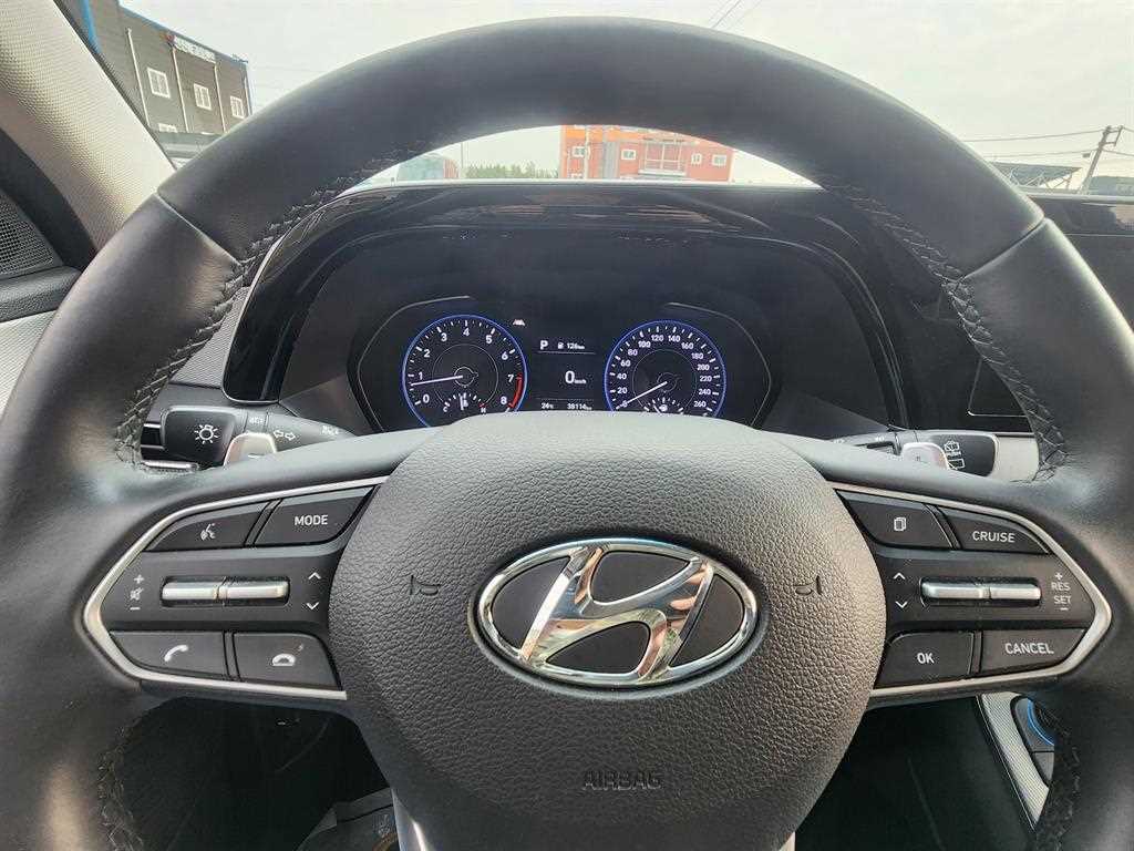Hyundai Palisade — photo 08