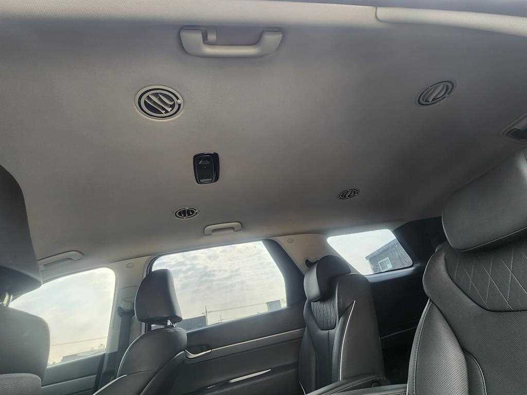 Hyundai Palisade — photo 17