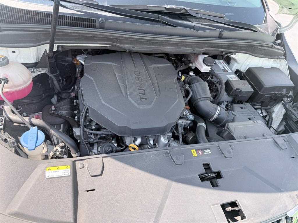 Kia Carnival — photo 06