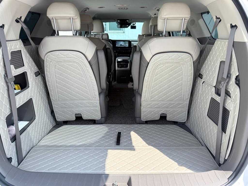 Kia Carnival — photo 13