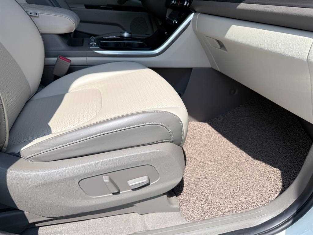 Kia Carnival — photo 14