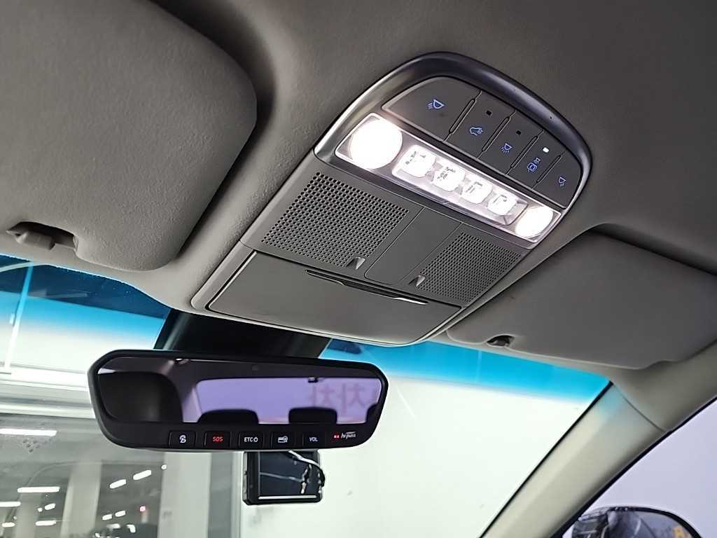 Genesis EQ900 — photo 16