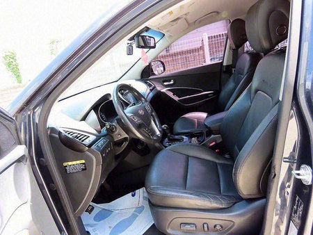 Hyundai Maxcruz — photo 05