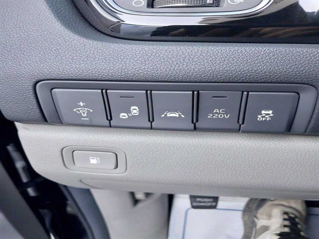 Kia Carnival — photo 20