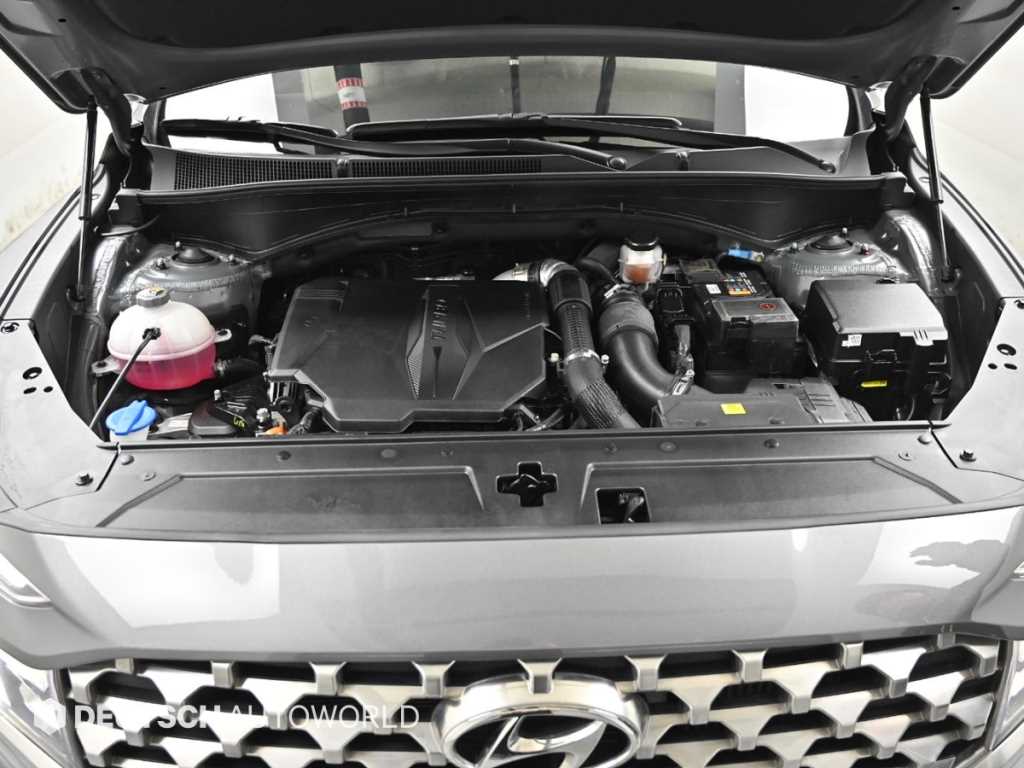 Hyundai Santafe — photo 06