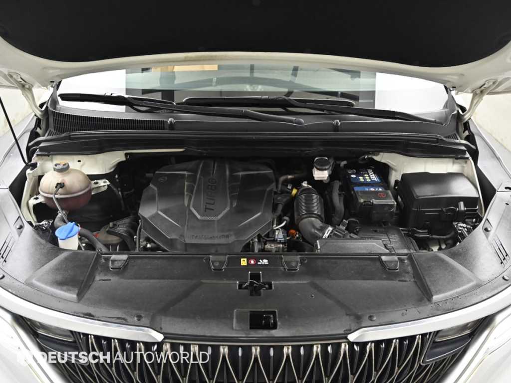 Kia Carnival — photo 06