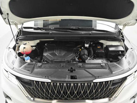Kia Carnival — photo 06