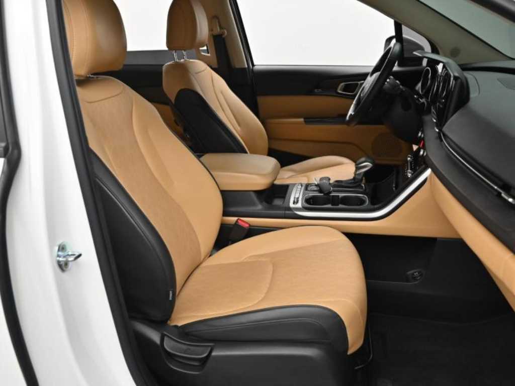 Kia Carnival — photo 10