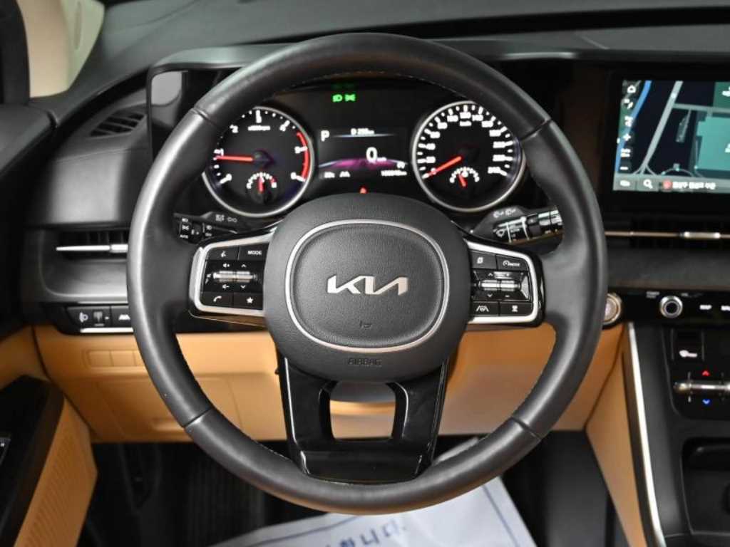 Kia Carnival — photo 13