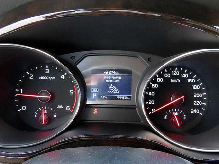 Kia Carnival — photo 10