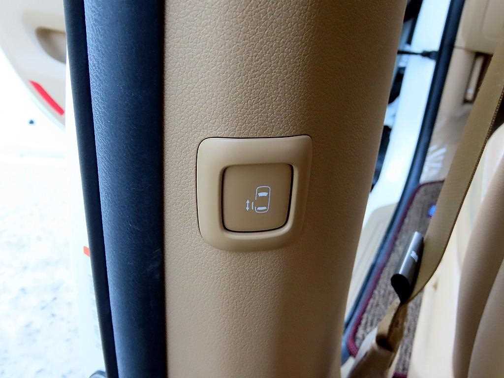 Kia Carnival — photo 14