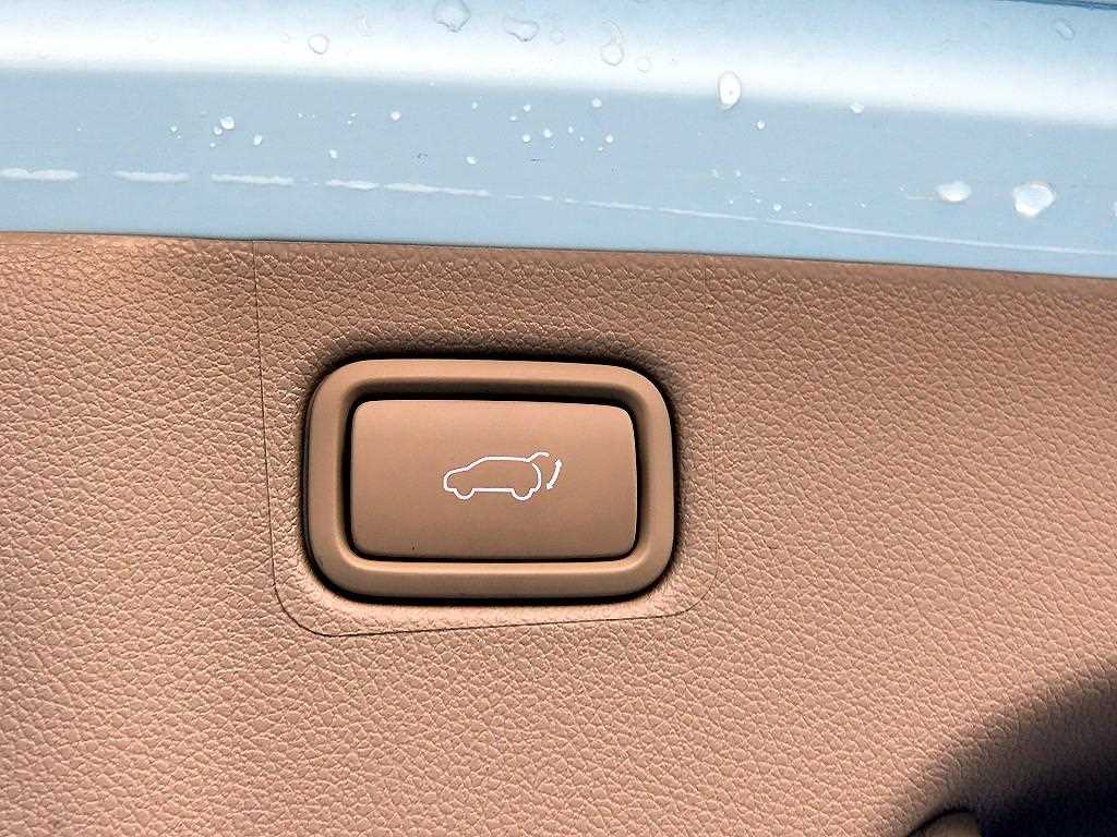 Kia Carnival — photo 16