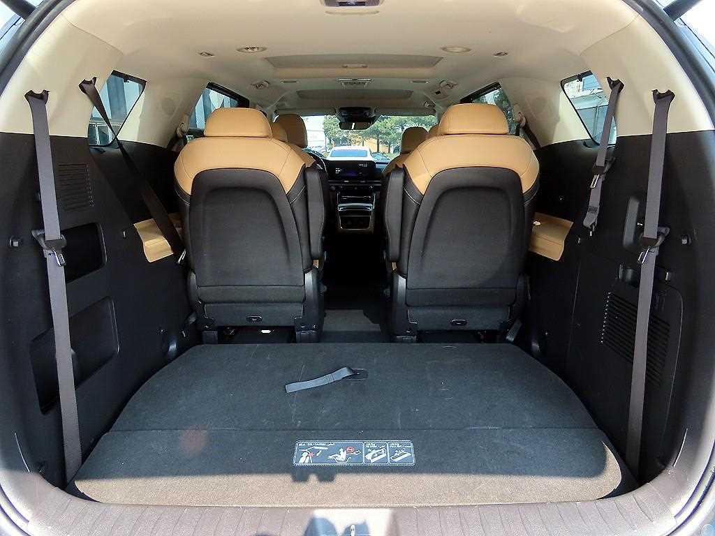 Kia Carnival — photo 16