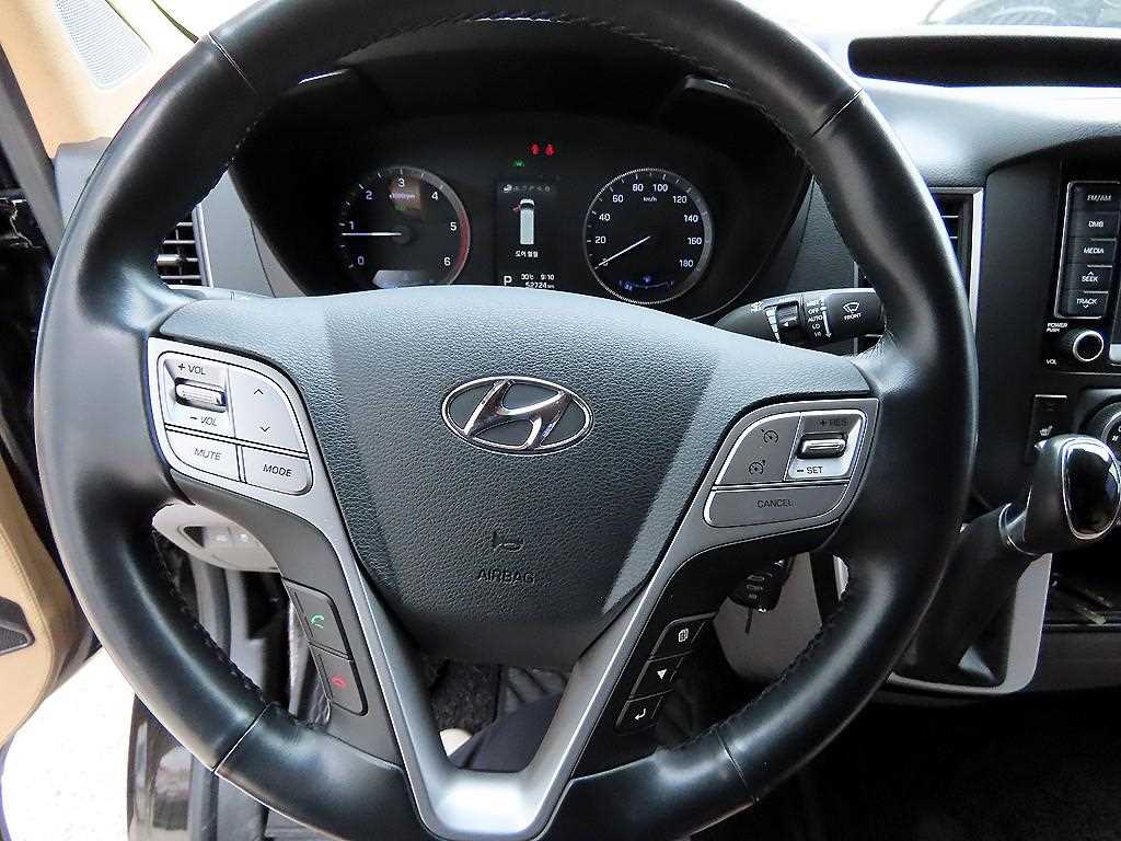 Hyundai Solati — photo 09