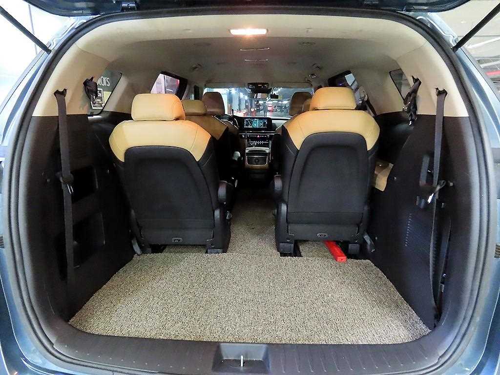 Kia Carnival — photo 18