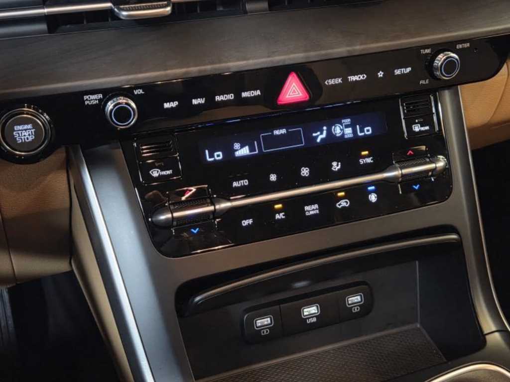 Kia Carnival — photo 17