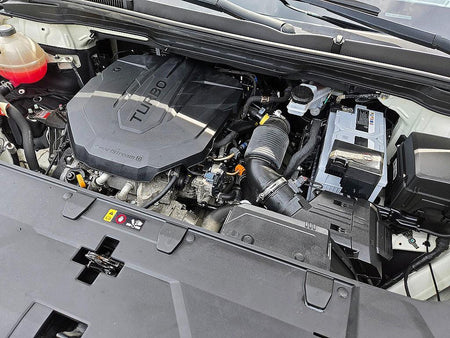 Kia Carnival — photo 20