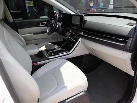 Kia Carnival — photo 13