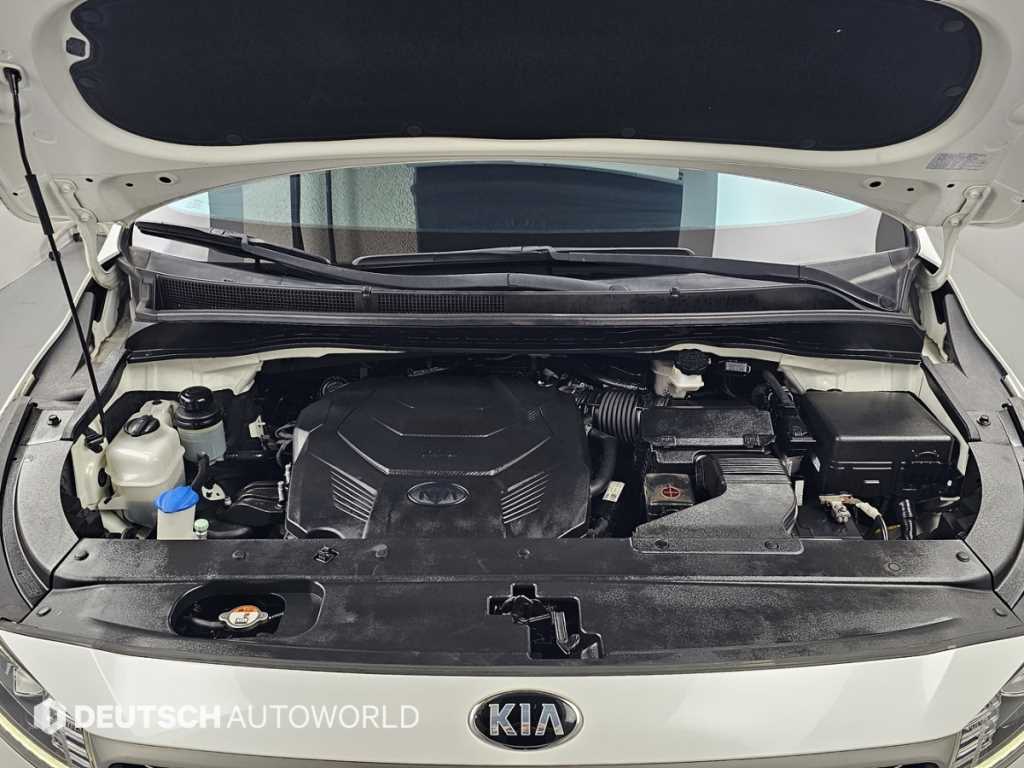 Kia Carnival — photo 06