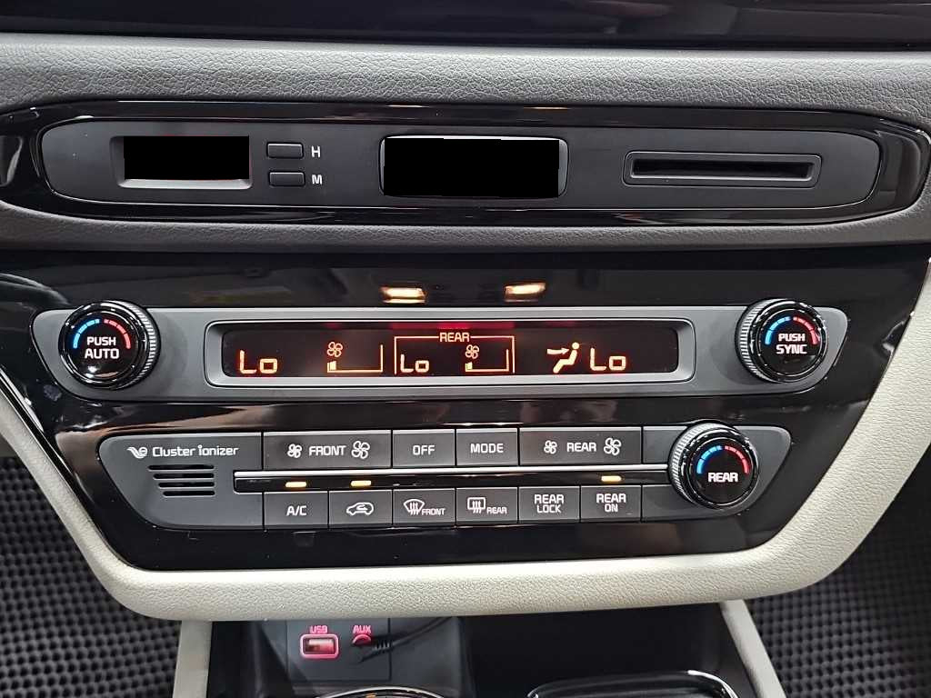 Kia Carnival — photo 10