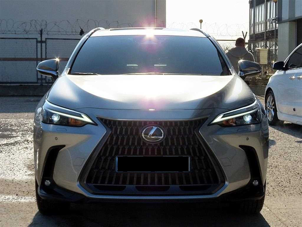 Lexus NX — photo 01