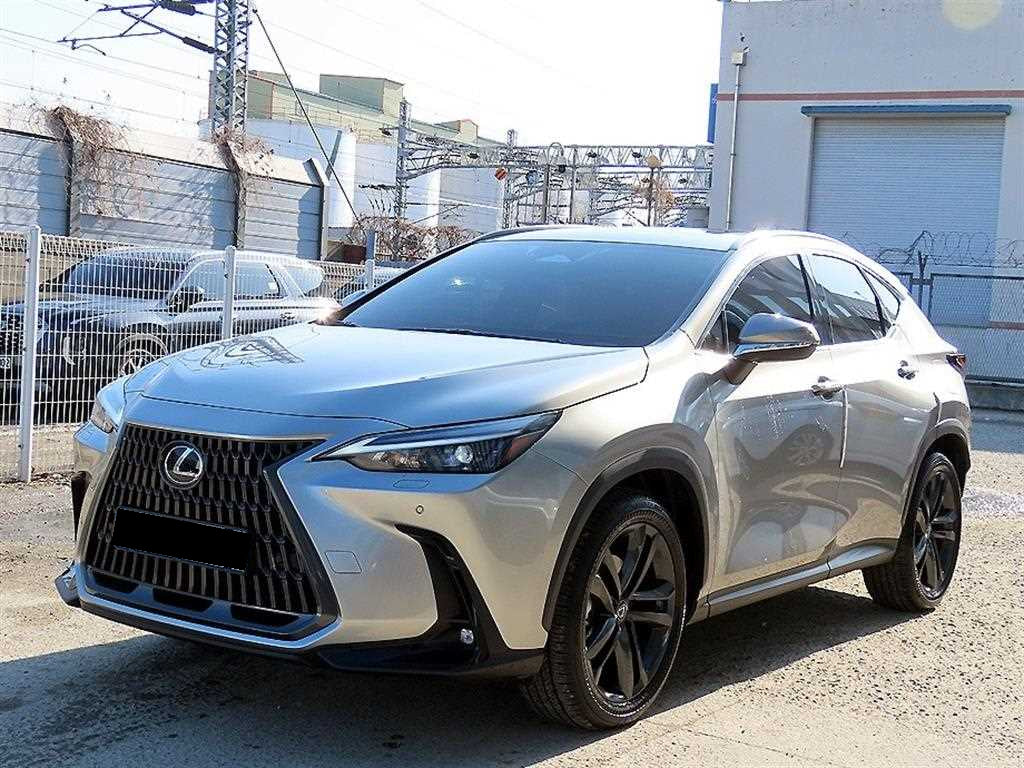 Lexus NX — photo 02