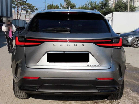 Lexus NX — photo 04