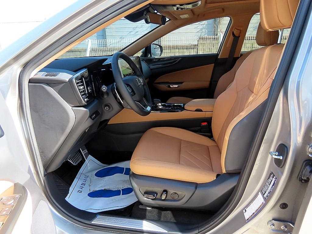 Lexus NX — photo 05