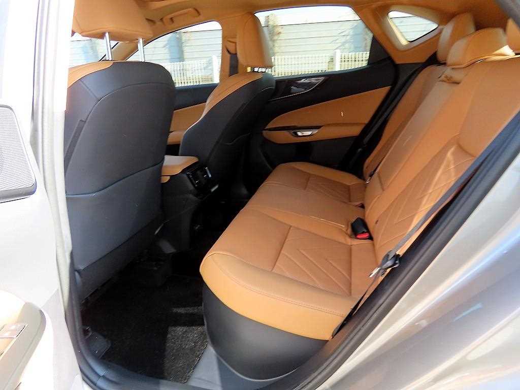 Lexus NX — photo 06