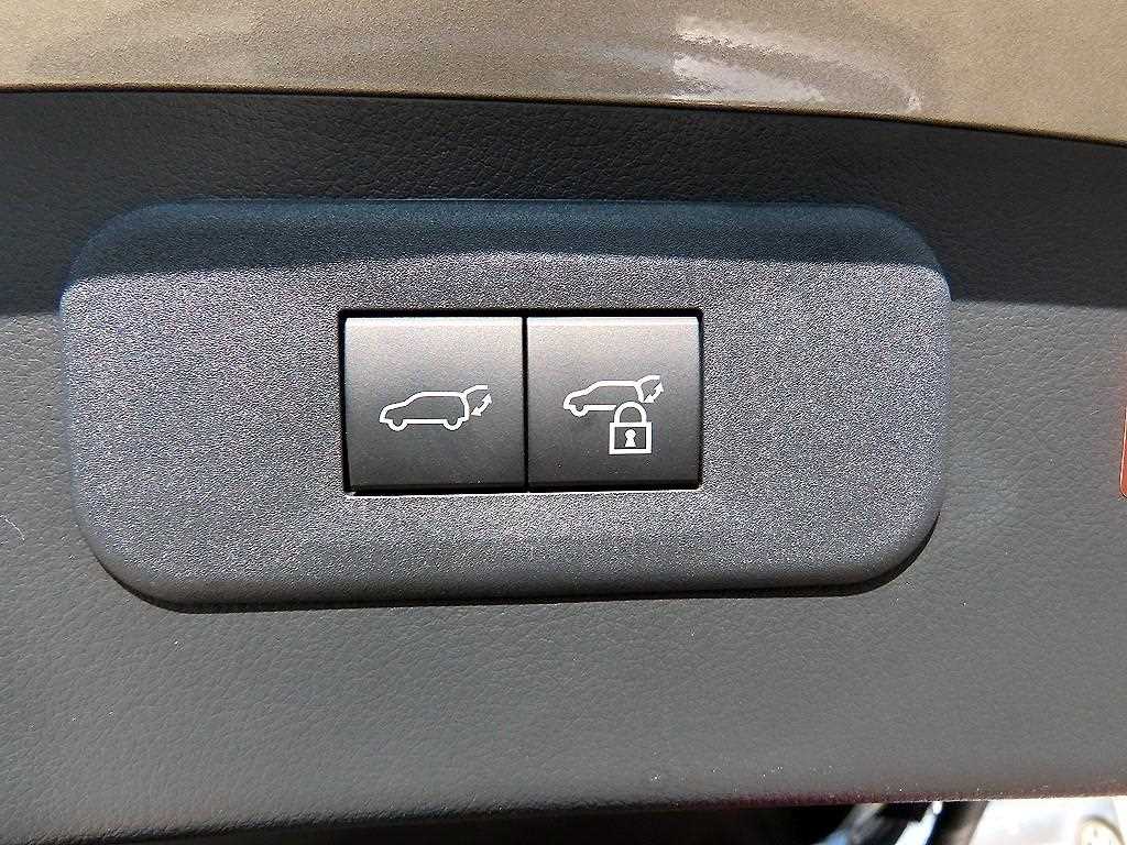 Lexus NX — photo 15