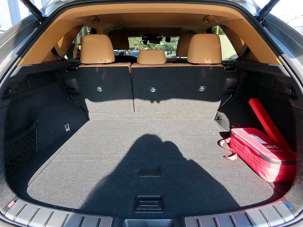 Lexus NX — photo 17