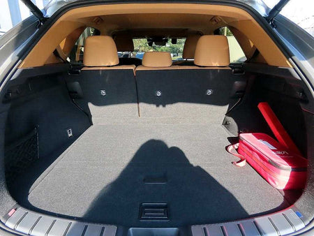 Lexus NX — photo 17