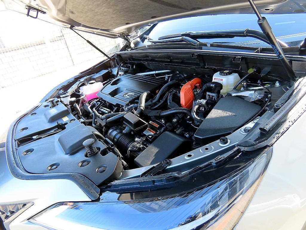 Lexus NX — photo 19