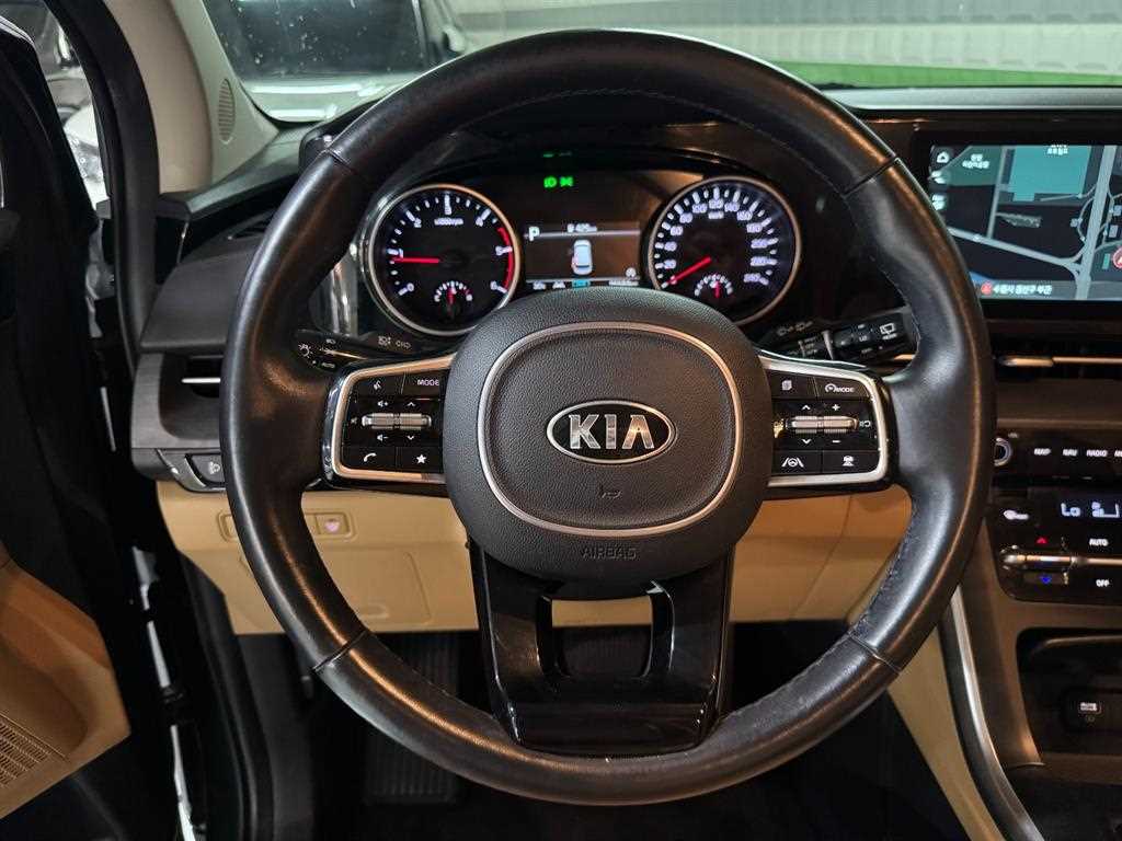 Kia Carnival — photo 10