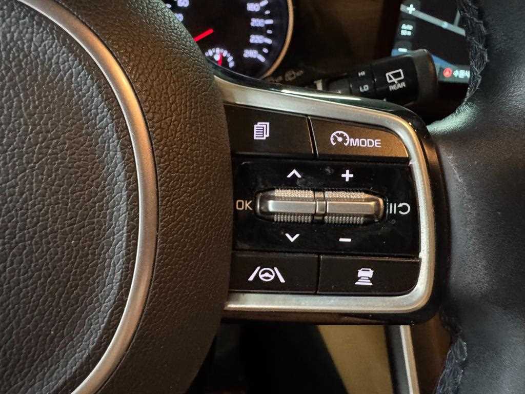 Kia Carnival — photo 11