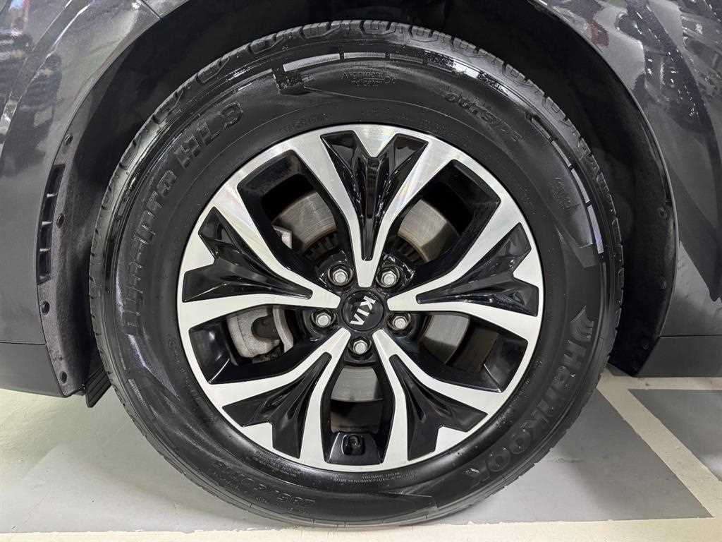 Kia Carnival — photo 19