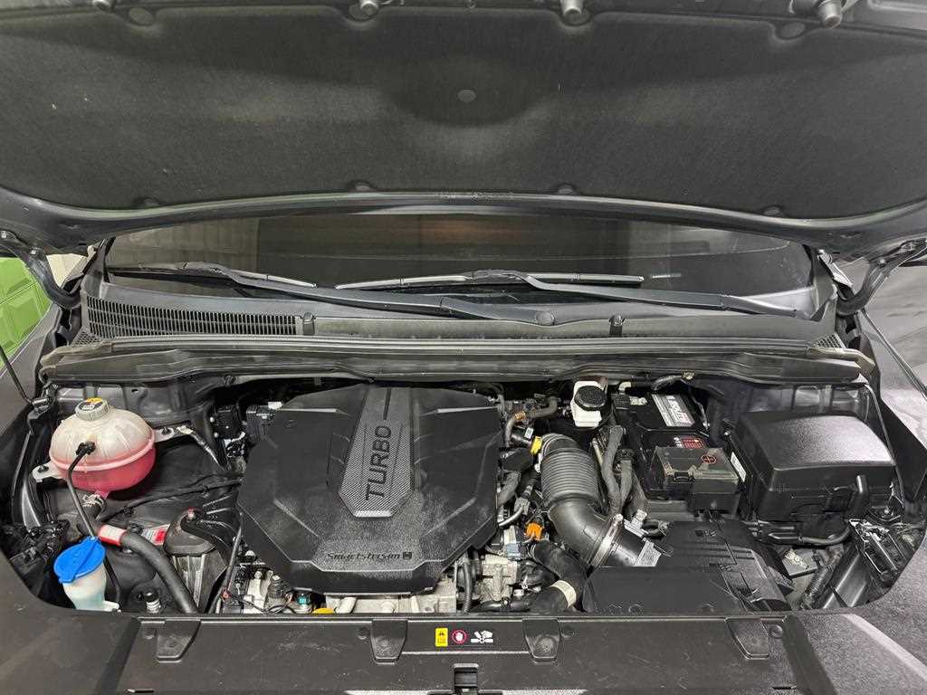 Kia Carnival — photo 20