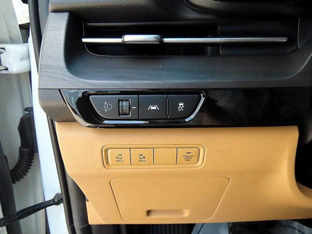 Kia Carnival — photo 13