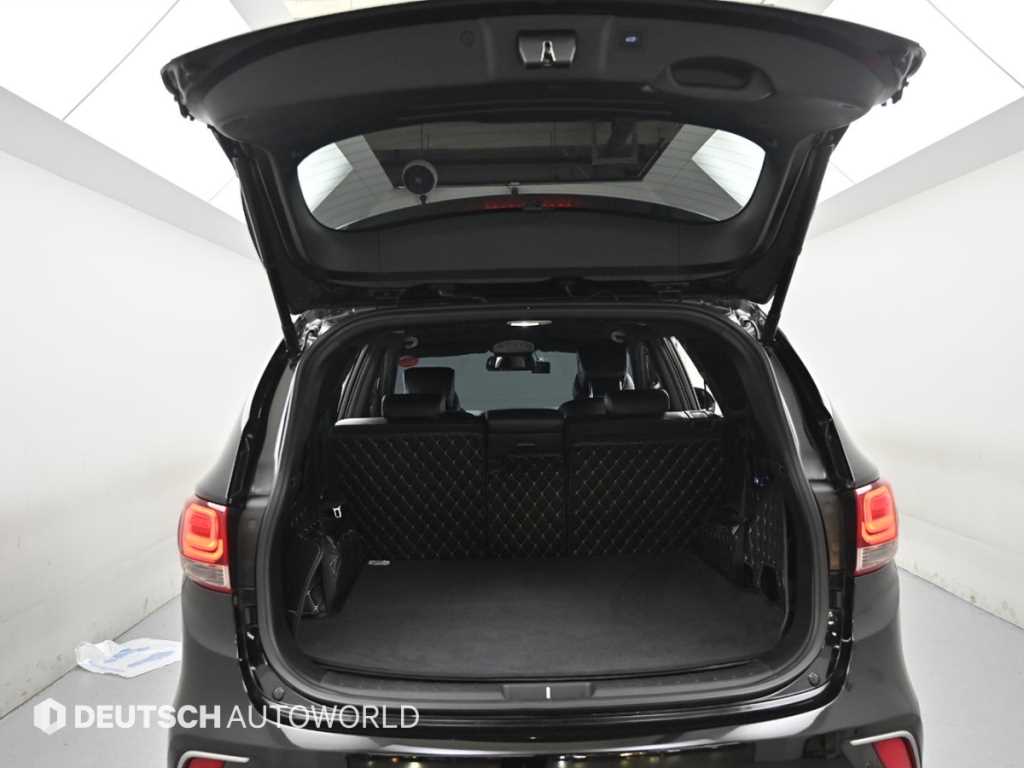 Hyundai Maxcruz — photo 05