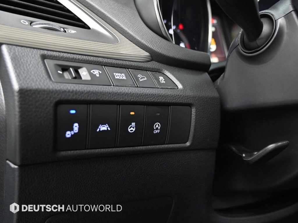 Hyundai Maxcruz — photo 14