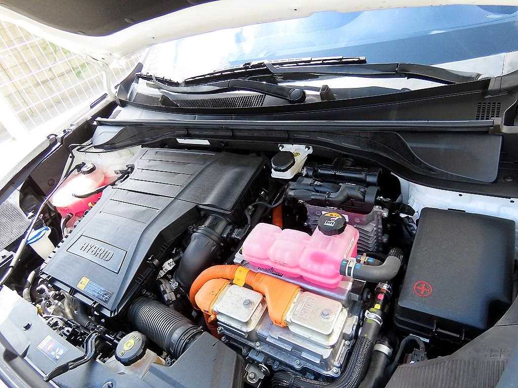 Kia Niro — photo 19
