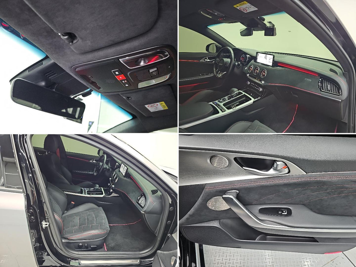 Kia Stinger — photo 18