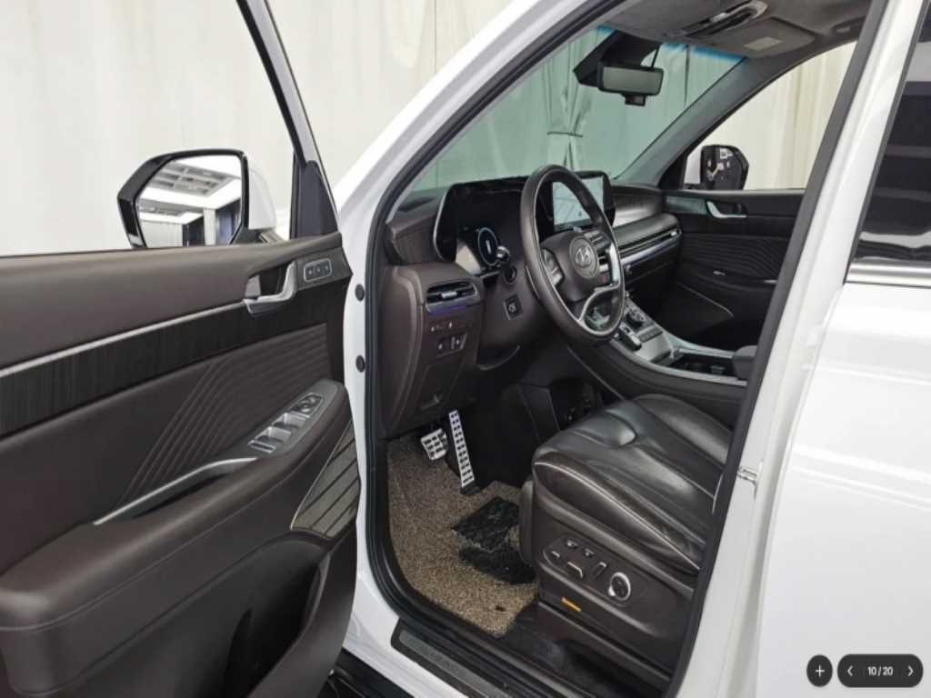 Hyundai Palisade — photo 10