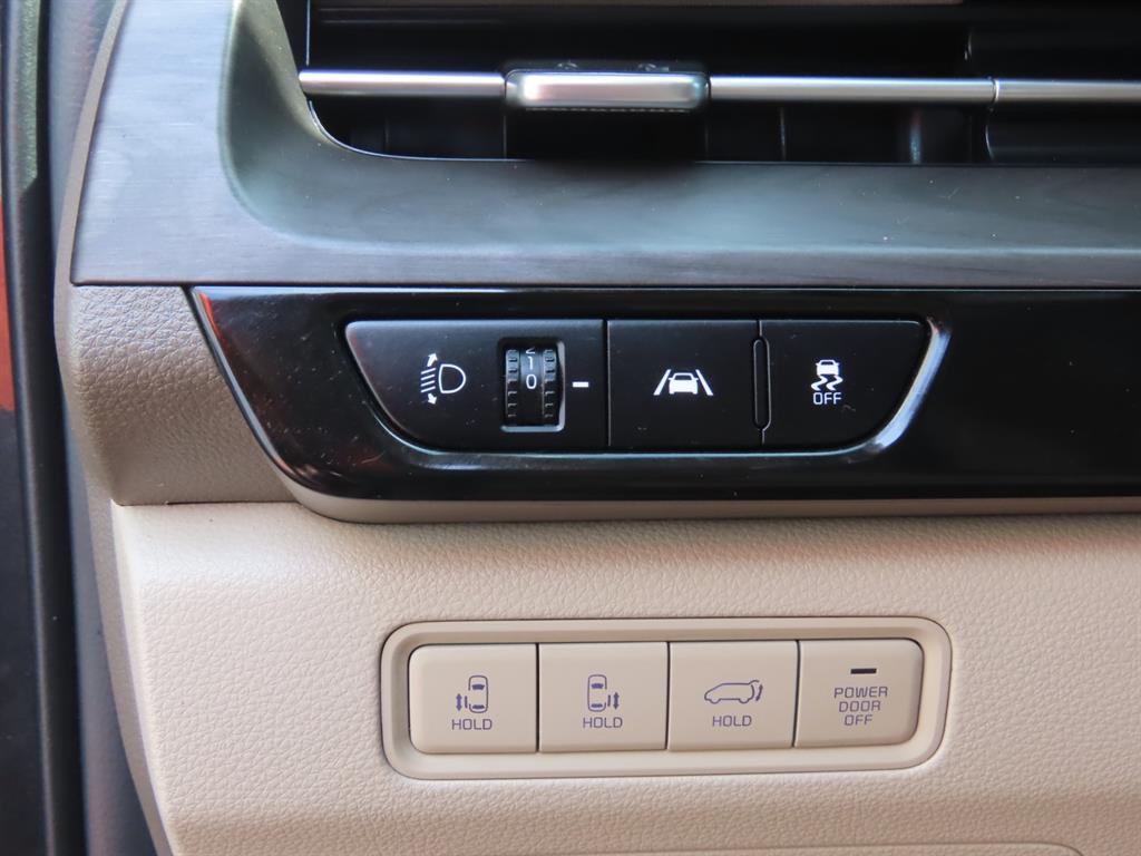 Kia Carnival — photo 15