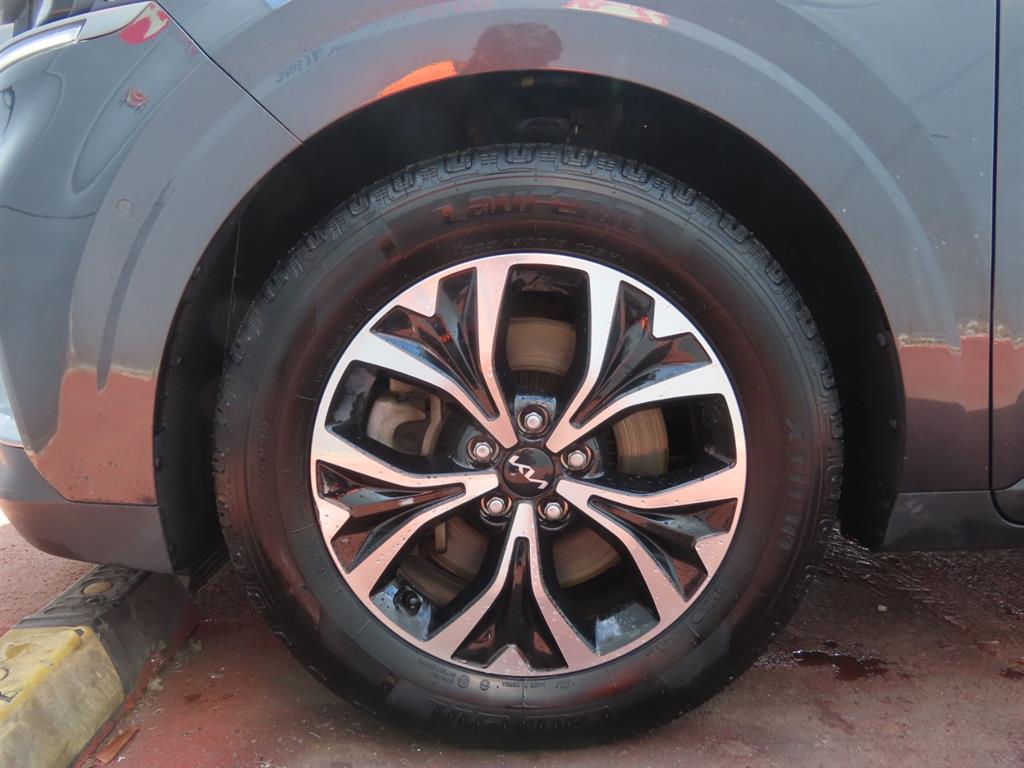 Kia Carnival — photo 20