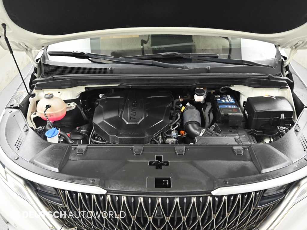 Kia Carnival — photo 06
