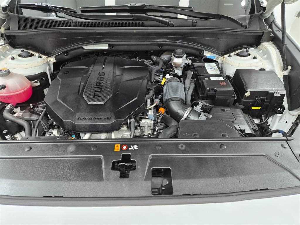Hyundai Santafe — photo 16