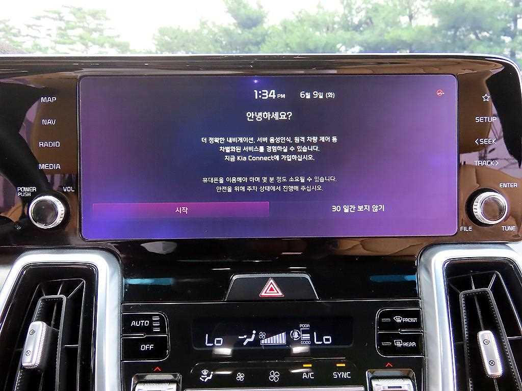 Kia Sorento — photo 13