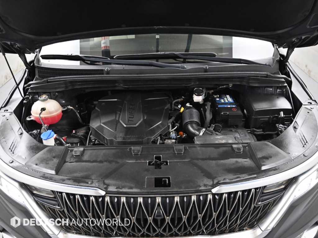 Kia Carnival — photo 06